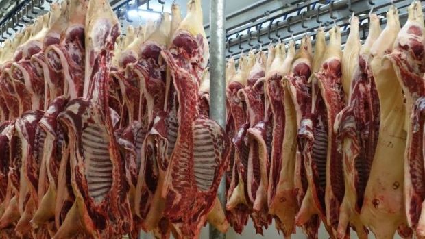 Zwischen Januar und Juni 2019 exportierte Belgien spürbar weniger Schweinefleisch. Zwischen Januar und Juni 2019 exportierte Belgien spürbar weniger Schweinefleisch.