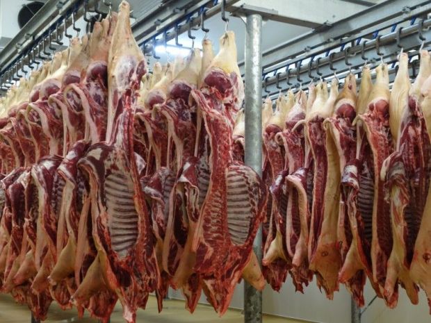 Schweinehälften im Kühlraum. Schweinehälften im Kühlraum.