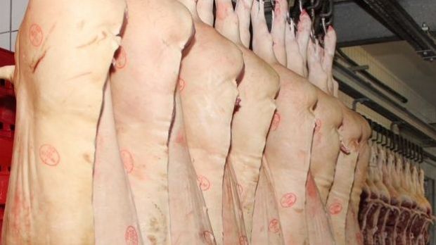 Schweinehälften Schweinehälften