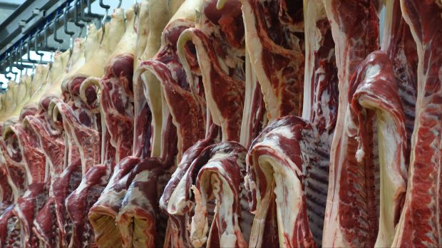Schweinehälften im Kühlhaus. Schweinehälften im Kühlhaus.