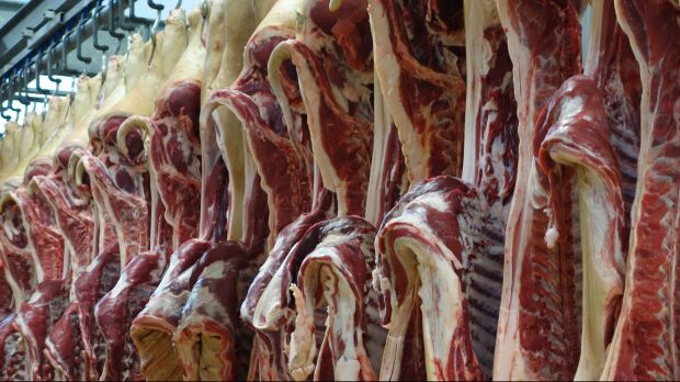 Nach Ostern präsentiert sich der Schlachtschweinemarkt ausgeglichen. Nach Ostern präsentiert sich der Schlachtschweinemarkt ausgeglichen.