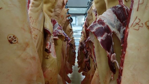 Der Fleischverkauf am Binnenmarkt bei schwächeren Preisen schwierig. Der Fleischverkauf am Binnenmarkt bei schwächeren Preisen schwierig.