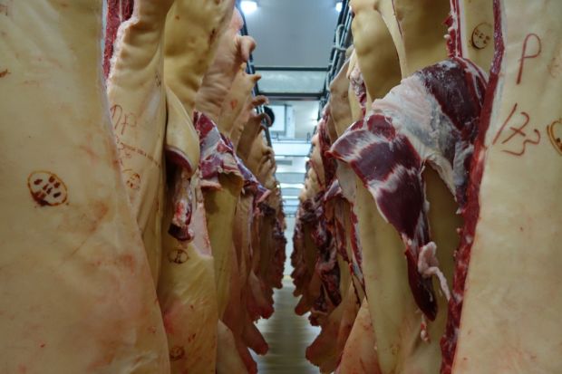 Der Handel mit Schweinefleisch verläuft Mitte Juni ohne Impulse. Der Handel mit Schweinefleisch verläuft Mitte Juni ohne Impulse.