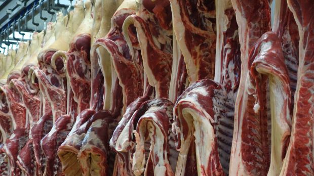 Die Preisdiskussionen bei Artikeln vom Schwein halten sich derzeit in engen Grenzen. Die Preisdiskussionen bei Artikeln vom Schwein halten sich derzeit in engen Grenzen.