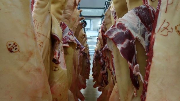 Wann dreht der Markt? Der Handel mit Schweinefleisch wird beeinflusst von einer starken Nachfrage in Europa und Asien. Wann dreht der Markt? Der Handel mit Schweinefleisch wird beeinflusst von einer starken Nachfrage in Europa und Asien.