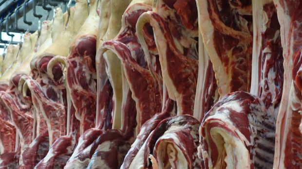 2018 kamen weniger Schweine an die Schlachthaken. 2018 kamen weniger Schweine an die Schlachthaken.