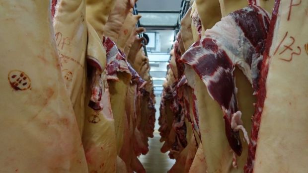 Das Weihnachtsgeschäft und die Exporte nach Asien feuern die Nachfrage nach Schweinefleisch an. Das Weihnachtsgeschäft und die Exporte nach Asien feuern die Nachfrage nach Schweinefleisch an.