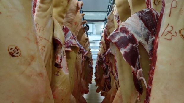 Die Weihnachtsüberhänge an Schweinen in der EU sind meist noch nicht abgebaut. Die Weihnachtsüberhänge an Schweinen in der EU sind meist noch nicht abgebaut.