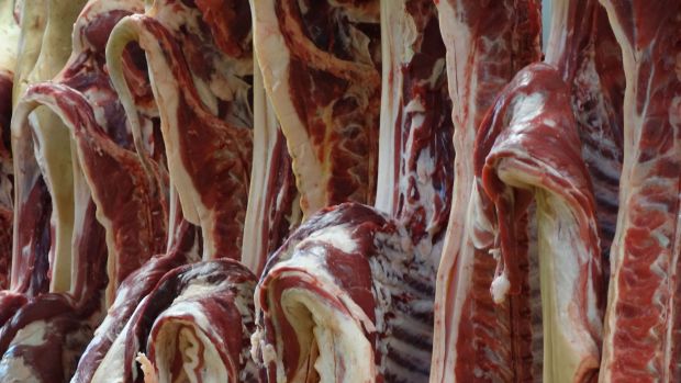 Schweinehälften im Kühlhaus. Schweinehälften im Kühlhaus.