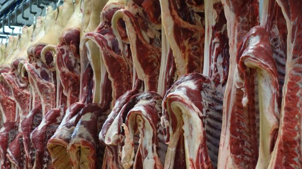 Die große Abwärtsspirale beim Schweinepreis scheint vorerst gestoppt. Die große Abwärtsspirale beim Schweinepreis scheint vorerst gestoppt.