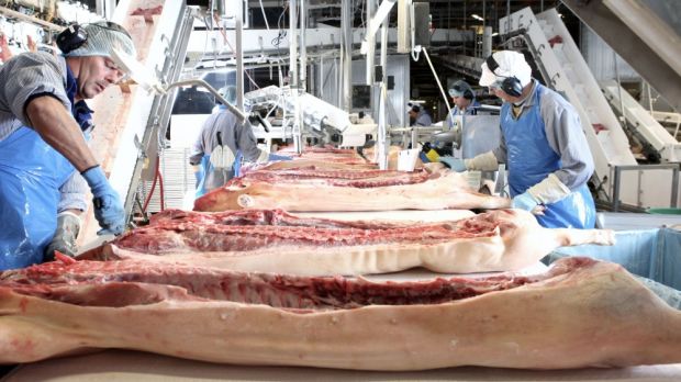 Zerlegung von Schweinehälften Zerlegung von Schweinehälften