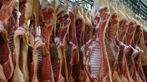 Die Preise für Schlachtschweine zeigen sich in diesen Woche wie eingefroren. Die Preise für Schlachtschweine zeigen sich in diesen Woche wie eingefroren.