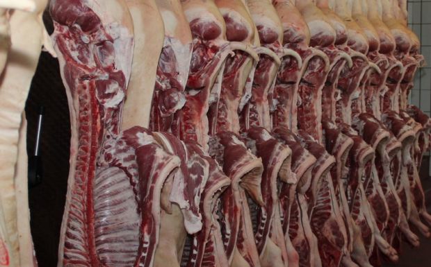 Schweinehälften Schweinehälften