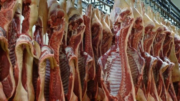 Die Notierungen für Schlachtschweine ziehen weiter an. Die Notierungen für Schlachtschweine ziehen weiter an.