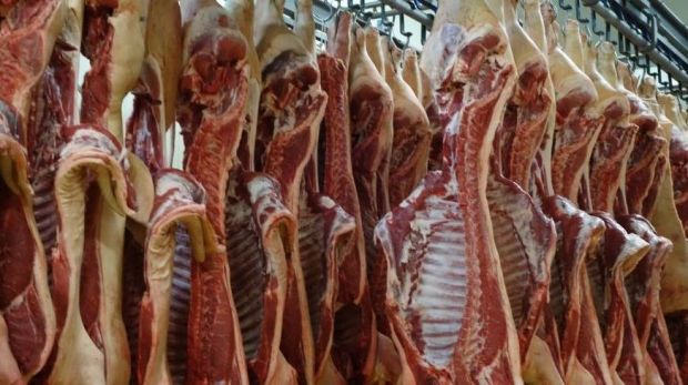 Für den edlen Rohstoff Schweinefleisch müssen Fleischverarbeiter und Metzger binnen kürzester Zeit 30 Cent je Kilo Schlachtgewicht mehr bezahlen. Für den edlen Rohstoff Schweinefleisch müssen Fleischverarbeiter und Metzger binnen kürzester Zeit 30 Cent je Kilo Schlachtgewicht mehr bezahlen.
