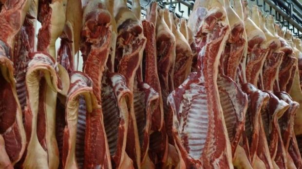 Die Preise für Schlachtschweine ziehen spürbar an. Die Preise für Schlachtschweine ziehen spürbar an.