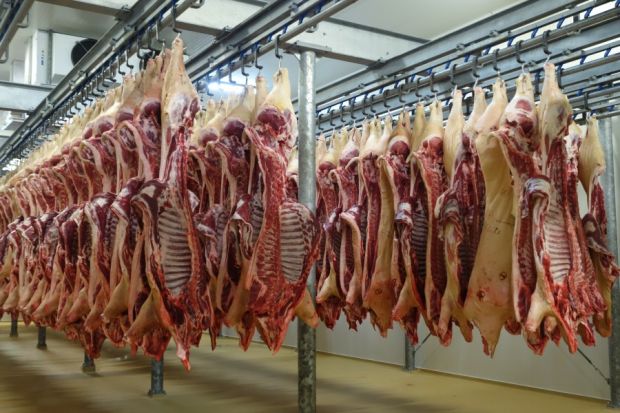 Schweinehälften im Kühlraum. Schweinehälften im Kühlraum.