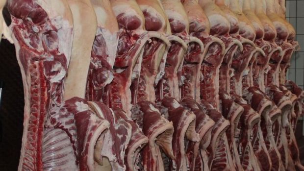 Mit China und Italien sind derzeit die beiden wichtigsten Exportmärkte für deutsches Schweinefleisch von der Corona-Krise besonders stark betroffen. Mit China und Italien sind derzeit die beiden wichtigsten Exportmärkte für deutsches Schweinefleisch von der Corona-Krise besonders stark betroffen.
