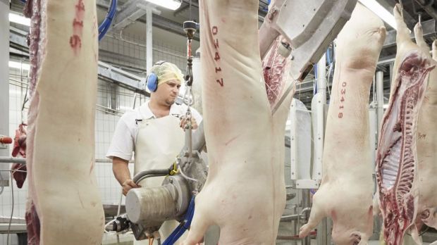 Im Juni 2018 hat es rund 189.000 Beschäftigte in der deutschen Fleischindustrie gegeben. Im Juni 2018 hat es rund 189.000 Beschäftigte in der deutschen Fleischindustrie gegeben.