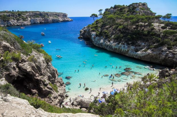 Die Einfuhrsperre der Philippinen, ein steigender Importbedarf Chinas sowie eine veränderte Nachfrage im Zuge der Urlaubszeit sorgen an den Fleischmärkten für unterschiedliche Preisentwicklungen. Die Einfuhrsperre der Philippinen, ein steigender Importbedarf Chinas sowie eine veränderte Nachfrage im Zuge der Urlaubszeit sorgen an den Fleischmärkten für unterschiedliche Preisentwicklungen.