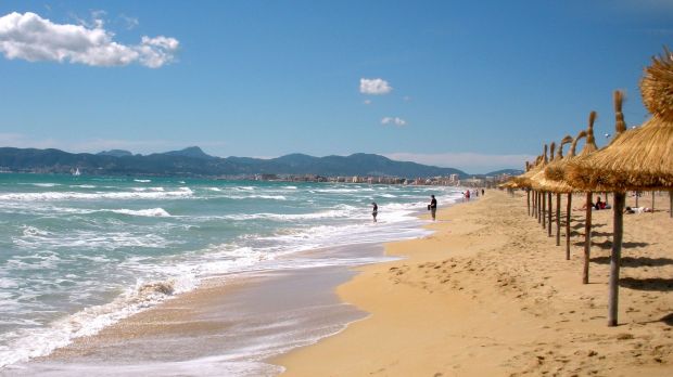Urlaubsbedingt steigen in Italien die Preise. Hierzulande lässt die jüngste Hitzewelle das Schlachtaufkommen weiter sinken und das Ende der Schulferien in einigen Bundesländern dürfte die Fleischnachfrage in Deutschland wieder beleben. Urlaubsbedingt steigen in Italien die Preise. Hierzulande lässt die jüngste Hitzewelle das Schlachtaufkommen weiter sinken und das Ende der Schulferien in einigen Bundesländern dürfte die Fleischnachfrage in Deutschland wieder beleben.