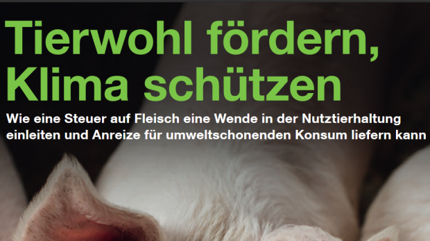 Die komplette Studie kann auf der Internetseite von Greenpeace heruntergeladen werden. Die komplette Studie kann auf der Internetseite von Greenpeace heruntergeladen werden.