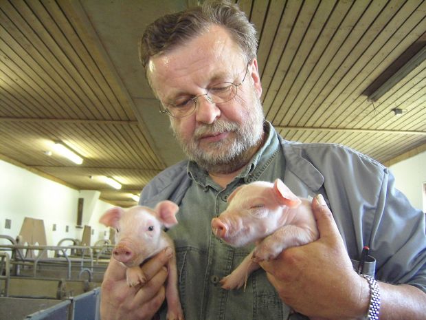 Das Foto aus der Vox-Sendung „Menschen, Tiere & Doktoren“ zeigt den Landtierarzt Dr. Volker Döring beim Kontrollcheck der Ferkel. Das Foto aus der Vox-Sendung „Menschen, Tiere & Doktoren“ zeigt den Landtierarzt Dr. Volker Döring beim Kontrollcheck der Ferkel.