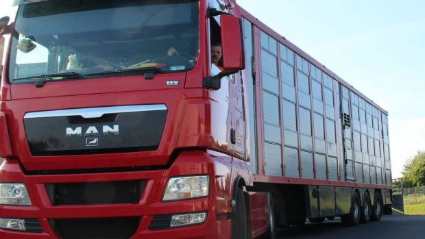 EU-Agrarpolitiker pochen auf einheitlichere Umsetzung der Tiertransportstandards. EU-Agrarpolitiker pochen auf einheitlichere Umsetzung der Tiertransportstandards.