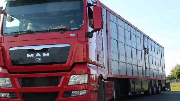 Die Landesagrarminister fordern den Bund zur Bereitstellung von tierschutzrelevanten Informationen zu Lebendtiertransporten in Drittländer auf. Die Landesagrarminister fordern den Bund zur Bereitstellung von tierschutzrelevanten Informationen zu Lebendtiertransporten in Drittländer auf.