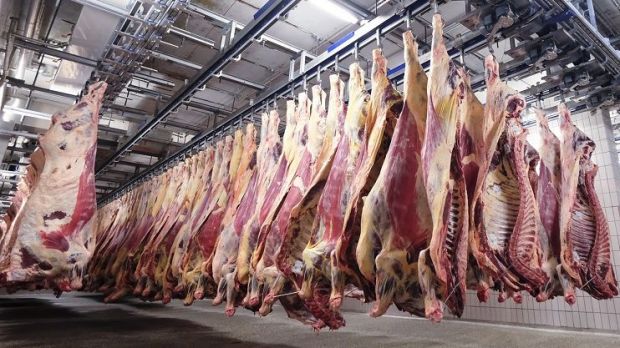 Blick in den Schlachthof der Vion Food Group am Standort Waldkraiburg. Blick in den Schlachthof der Vion Food Group am Standort Waldkraiburg.