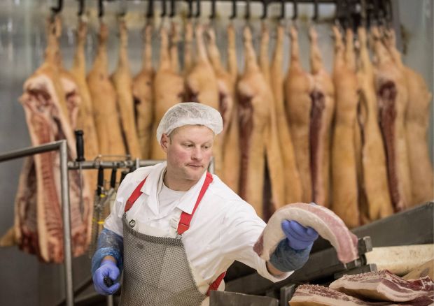 Die Schweinefleischerzeugung für 2019 soll in Russland um rund 200.000 t angestiegen sein.
Die Schweinefleischerzeugung für 2019 soll in Russland um rund 200.000 t angestiegen sein.