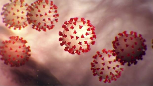 Das Bundesernährungsministerium hält die Übertragung des Coronavirus durch importierte Lebensmittel für unwahrscheinlich. Das Bundesernährungsministerium hält die Übertragung des Coronavirus durch importierte Lebensmittel für unwahrscheinlich.
