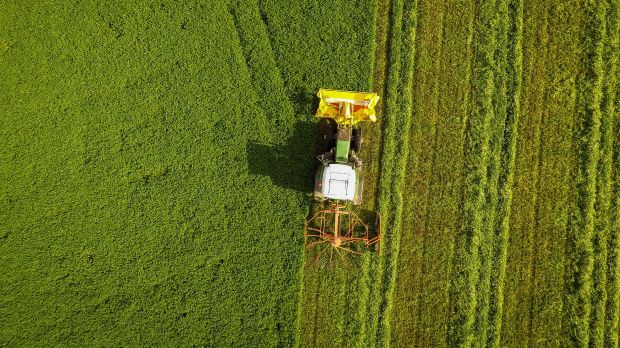 Die Idee, aus Gras Proteine zu extrahieren, ist nicht neu. In Dänemark soll sie erstmals in einem industriellen Maßstab umgesetzt werden. Die Idee, aus Gras Proteine zu extrahieren, ist nicht neu. In Dänemark soll sie erstmals in einem industriellen Maßstab umgesetzt werden.