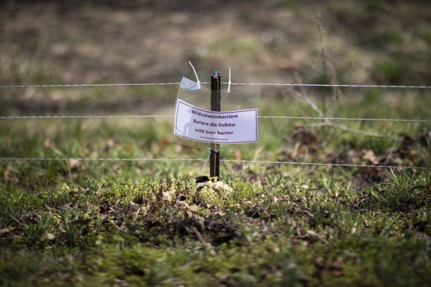 In Brandenburg soll an der Grenze zu Polen nun ein fester Zaun zu errichtet werden, der die vorhandene Barriere ersetzt. In Brandenburg soll an der Grenze zu Polen nun ein fester Zaun zu errichtet werden, der die vorhandene Barriere ersetzt.