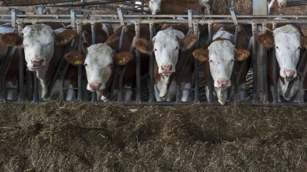 Durch die neue Zuständigkeit der Sonderkontrollbehörde sollen die Verwaltungen in den Landkreisen entlastet werden. Durch die neue Zuständigkeit der Sonderkontrollbehörde sollen die Verwaltungen in den Landkreisen entlastet werden.