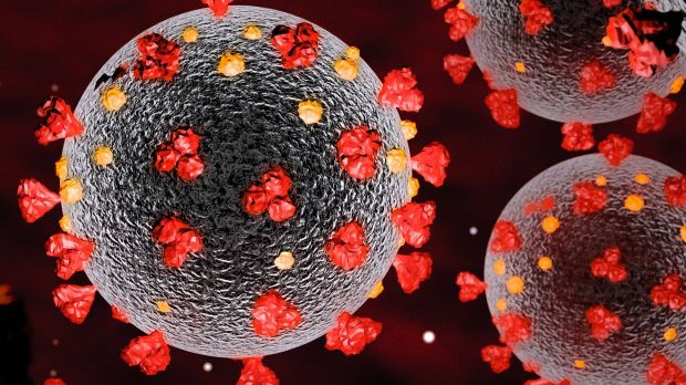 Das neuartige Coronavirus Sars-Cov-2 sorgt weiter für Unruhe in der Fleischbranche. Das neuartige Coronavirus Sars-Cov-2 sorgt weiter für Unruhe in der Fleischbranche.