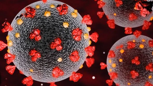Das Coronavirus legt nun auch die Schlachtung in Ulm lahm. Das Coronavirus legt nun auch die Schlachtung in Ulm lahm.
