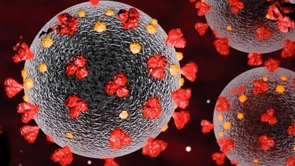 Das Coronavirus sorgt weiter für Unruhe in der Fleischbranche. Das Coronavirus sorgt weiter für Unruhe in der Fleischbranche.