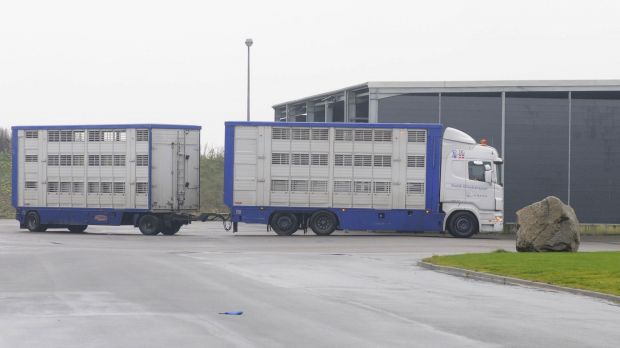 Bayern verbietet Tiertransporte nach Russland. Bayern verbietet Tiertransporte nach Russland.