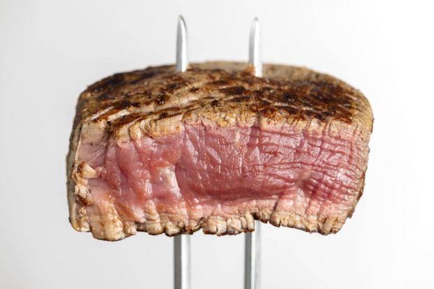 Sportler, Flexitarier, Paleo: Fleisch ist in vielen Ernährungsweisen ein wichtiger Eiweißlieferant. Sportler, Flexitarier, Paleo: Fleisch ist in vielen Ernährungsweisen ein wichtiger Eiweißlieferant.
