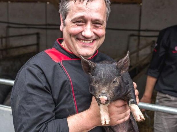 Christoph Grabowski mit einem Berkshire-Ferkel von „Der Vogelsberger“. Christoph Grabowski mit einem Berkshire-Ferkel von „Der Vogelsberger“.