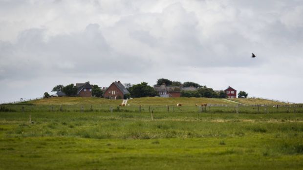 In einer Haltung mit 57 Hühnern auf der Hallig Oland im Kreis Nordfriesland ist die Geflügelpest ausgebrochen. In einer Haltung mit 57 Hühnern auf der Hallig Oland im Kreis Nordfriesland ist die Geflügelpest ausgebrochen.