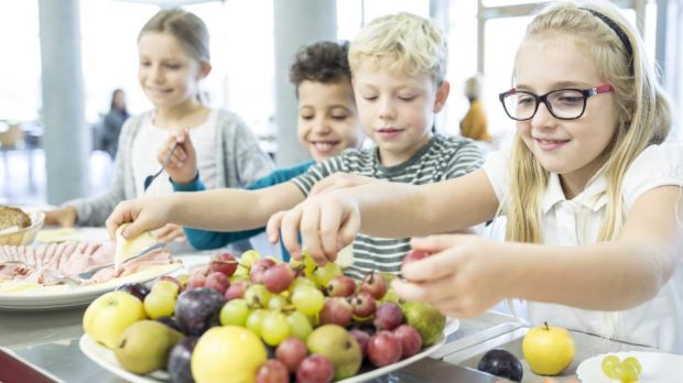 Die SPD fordert verpflichtende Standards der Deutschen Gesellschaft für Ernährung (DGE) für das Essen in allen Einrichtungen der Gemeinschaftsverpflegung. Die SPD fordert verpflichtende Standards der Deutschen Gesellschaft für Ernährung (DGE) für das Essen in allen Einrichtungen der Gemeinschaftsverpflegung.