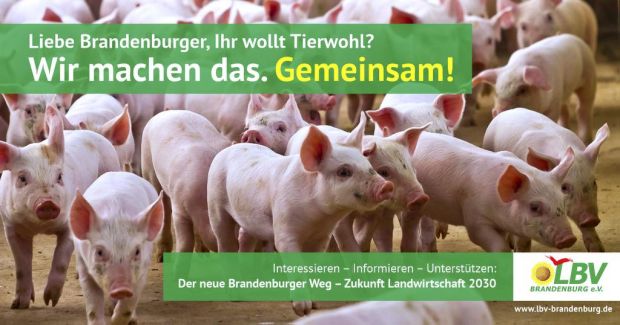 Mit einer groß angelegten Plakataktion informiert der Landesbauernverband über die Zukunft der Landwirtschaft bis zum Jahr 2030. Mit einer groß angelegten Plakataktion informiert der Landesbauernverband über die Zukunft der Landwirtschaft bis zum Jahr 2030.