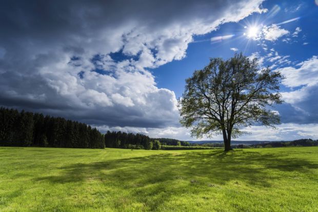 Auf Sonne nach Gewitterwolken setzt die Fleischbranche 2021. Nach stürmischen Zeiten hofft man nun auf ein ruhigeres Jahr. Auf Sonne nach Gewitterwolken setzt die Fleischbranche 2021. Nach stürmischen Zeiten hofft man nun auf ein ruhigeres Jahr.