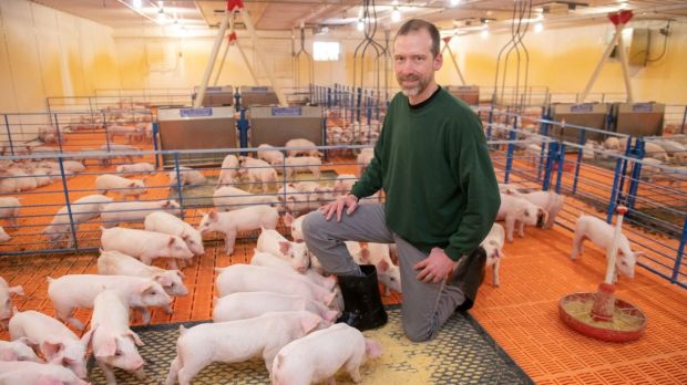 Mike Paustian, Schweinehalter in Iowa, fürchtet, dass sich die Situation weiter zuspitzen könnte. Mike Paustian, Schweinehalter in Iowa, fürchtet, dass sich die Situation weiter zuspitzen könnte.