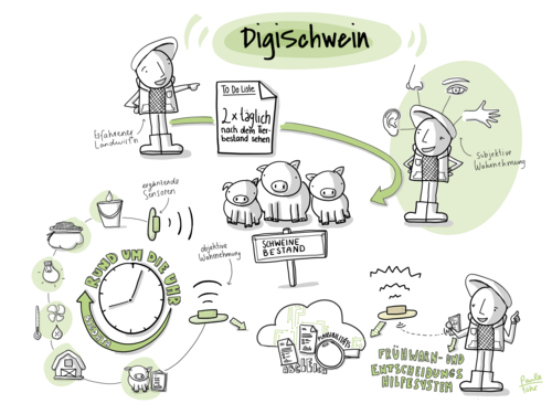 Schmatische Darstellung des Projekt „DigiSchwein“ . Schmatische Darstellung des Projekt „DigiSchwein“ .