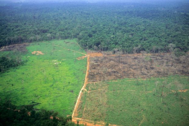 Luftaufnahme von teilweise abgeholztem Land im brasilianischen Regenwald im Amazonas-Gebiet. Luftaufnahme von teilweise abgeholztem Land im brasilianischen Regenwald im Amazonas-Gebiet.