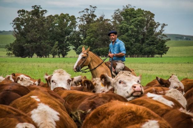 Argentinien gehört zu den wenigen Ländern, die ihre Ausfuhren in die EU steigern konnten. Argentinien gehört zu den wenigen Ländern, die ihre Ausfuhren in die EU steigern konnten.