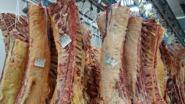 In vielen europäischen Ländern ist der Absatz von Rindfleisch eingebrochen. In vielen europäischen Ländern ist der Absatz von Rindfleisch eingebrochen.
